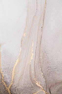 Resim beyaz arka planda alkol mürekkebiyle boyanmıştır. Lüks, soyut sıvı sanat tekniği: bronz, gümüş, metalik ve altın rengi. 