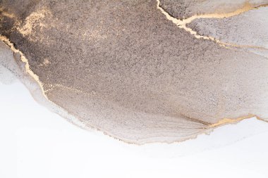 Resim beyaz arka planda alkol mürekkebiyle boyanmıştır. Lüks, soyut sıvı sanat tekniği: bronz, gümüş, metalik ve altın rengi. 