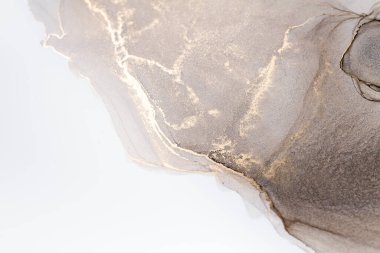 Resim beyaz arka planda alkol mürekkebiyle boyanmıştır. Lüks, soyut sıvı sanat tekniği: bronz, gümüş, metalik ve altın rengi. 