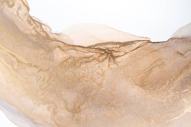 Resim beyaz arka planda alkol mürekkebiyle boyanmıştır. Lüks, soyut sıvı sanat tekniği: bronz, gümüş, metalik ve altın rengi. 