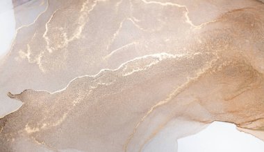 Resim beyaz arka planda alkol mürekkebiyle boyanmıştır. Lüks, soyut sıvı sanat tekniği: bronz, gümüş, metalik ve altın rengi. 