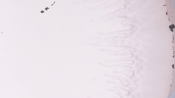 Плавлення Поверхневе Чорнило Білому Синьому Кольорі Макро Відео Блискучим Плавним — стокове відео