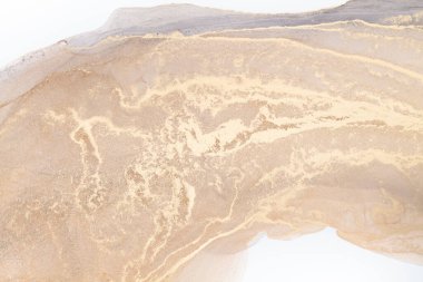 Resim beyaz arka planda alkol mürekkebiyle boyanmıştır. Lüks, soyut sıvı sanat tekniği: bronz, gümüş, metalik ve altın rengi. 