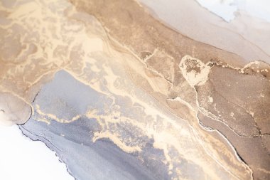 Resim beyaz arka planda alkol mürekkebiyle boyanmıştır. Lüks, soyut sıvı sanat tekniği: bronz, gümüş, metalik ve altın rengi. 