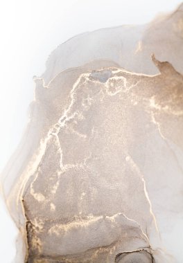 Resim beyaz arka planda alkol mürekkebiyle boyanmıştır. Lüks, soyut sıvı sanat tekniği: bronz, gümüş, metalik ve altın rengi. 