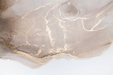 Resim beyaz arka planda alkol mürekkebiyle boyanmıştır. Lüks, soyut sıvı sanat tekniği: bronz, gümüş, metalik ve altın rengi. 