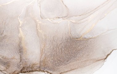 Resim beyaz arka planda alkol mürekkebiyle boyanmıştır. Lüks, soyut sıvı sanat tekniği: bronz, gümüş, metalik ve altın rengi. 