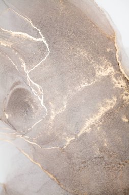 Resim beyaz arka planda alkol mürekkebiyle boyanmıştır. Lüks, soyut sıvı sanat tekniği: bronz, gümüş, metalik ve altın rengi. 