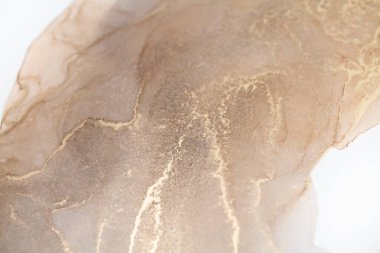 Resim beyaz arka planda alkol mürekkebiyle boyanmıştır. Lüks, soyut sıvı sanat tekniği: bronz, gümüş, metalik ve altın rengi. 