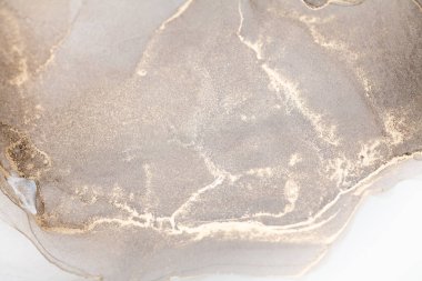 Resim beyaz arka planda alkol mürekkebiyle boyanmıştır. Lüks, soyut sıvı sanat tekniği: bronz, gümüş, metalik ve altın rengi. 