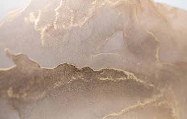 Resim alkol mürekkebiyle boyanmış. Lüks, soyut sıvı sanat tekniği: bronz, gümüş, metalik ve altın rengi. 