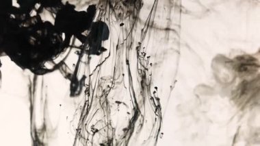 Beyaz arka planda siyah boya damlaları, soyut ve güzel bir mürekkep dalgası. Ağır çekim. Sinema kamerasında çekildi, yüksek kalite 4K görüntü.