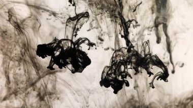 Beyaz arka planda siyah boya damlaları, soyut ve güzel bir mürekkep dalgası. Ağır çekim. Sinema kamerasında çekildi, yüksek kalite 4K görüntü.