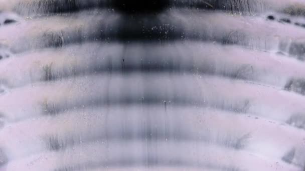Черная Волнистая Поверхность Которой Протекают Белые Чернила Прекрасный Фон Веб — стоковое видео