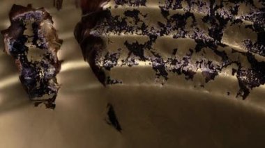 Üzerinde beyaz, kırmızı, altın rengi mürekkep akan siyah dalgalı bir yüzey. Web siteleri, film başlıkları ve telefon ekran koruyucuları için mükemmel bir özgeçmiş.