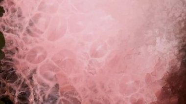 Beyaz alkol mürekkebi turuncu, bronz ve pembe arka plandan aşağı doğru akar. Dalgalanan parlayan yüzey.