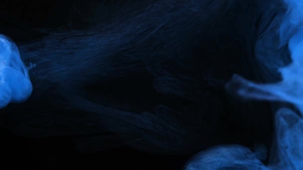 Завораживающий Танец Синих Чернил Изящно Струящийся Через Чистую Спокойную Воду — стоковое видео