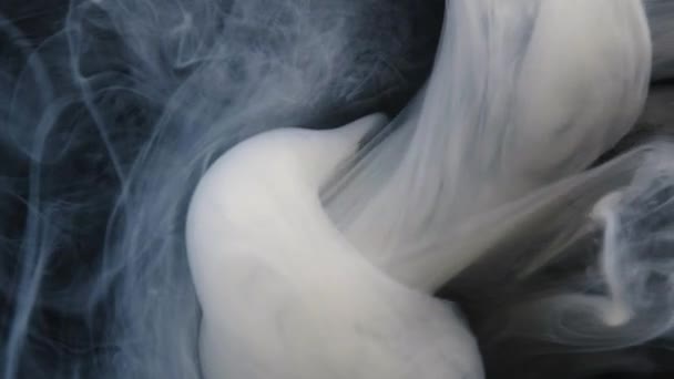 Swirling Smoke Creates Captivating Patterns Subtle Lighting Tranquil Studio Setting — 图库视频影像