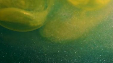 Sarı mürekkep kıvrımları titiz bir şekilde siyah ve beyaza karşı kıvrılarak hipnotik bir gösteri yaratıyor..