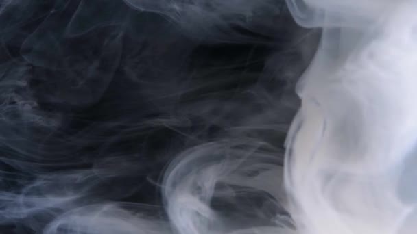 Parrucche Fumo Intrecciano Con Grazia Uno Sfondo Scuro Creando Display — Video Stock