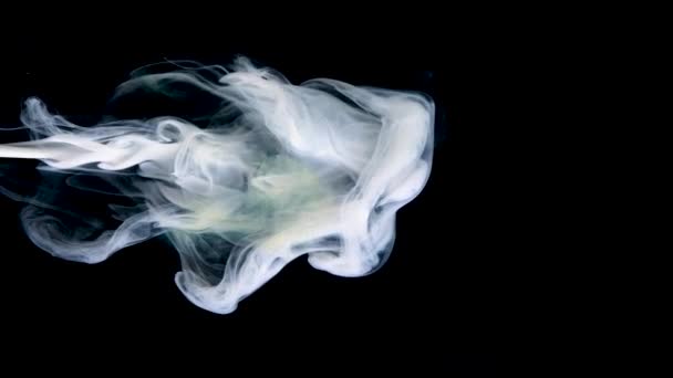 Swirling Smoke Creates Captivating Patterns Subtle Lighting Tranquil Studio Setting — Stock Video