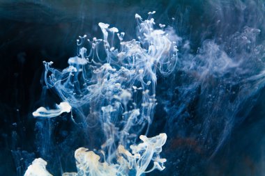 Gök mavisi sularda açılan mürekkepli filizlerin büyüleyici dansı derinlik ve entrika hissi uyandırıyor. Beyaz mürekkep suya düştü ve hareket halindeyken fotoğraflandı..