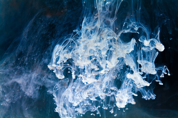 A mesmerizing dance of inky tendrils unfurling through azure waters, evoking a sense of depth and intrigue. white Ink dropped into the water and photographed while in motion.