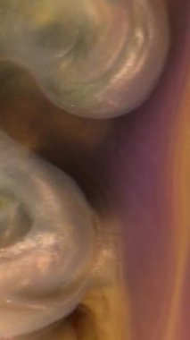 Parlak bir dudağın yakın çekimi, dikey bir telefon kamerasıyla..