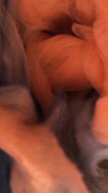 Suyun altında yüzen bir insan, sudan yansıyan güneş ışığıyla..