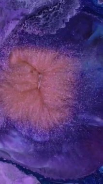 Parlak mor ve turuncu renkleri gösteren doğal bir mineral oluşumunun karmaşık detaylarını araştırın. Bu çarpıcı görüntü jeolojik harikalarda bulunan güzelliği vurguluyor..
