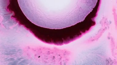 Canlı renklerin ve soyut şekillerin ilginç bir keşfi bir laboratuarda ortaya çıkar ve ışık ve maddelerin büyüleyici etkileşimini gözler önüne serer..