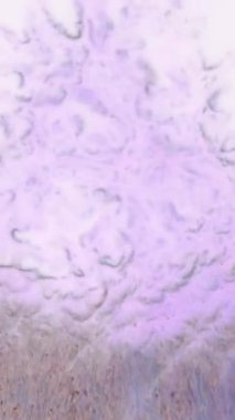 Gün ışığının büyüleyici dönüşümünü deneyimleyin. Okyanus üzerinde nefes kesen bir gün batımında gökyüzü canlı renklerle doluyor. Benzersiz bulut oluşumları sergiliyor..