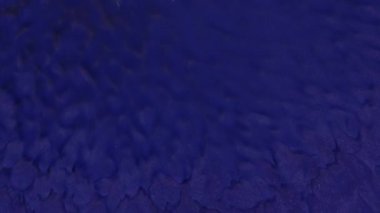 Tropikal bir cennette sakin bir günbatımında kumlu sahile vuran derin mavi okyanus dalgalarının sükunetini hissedin..