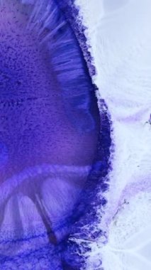 Güzel alkol mürekkep sanatının, zengin mavi renkler ve yumuşak beyaz tonlar kullanarak canlanışını izleyin. Büyüleyici bir sanatsal deneyim için renkleri karıştırma sürecinin tadını çıkarın..