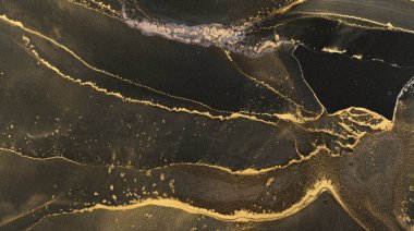 Bu sanat eseri, zengin siyah ve parıldayan altın renklerini harmanlayan, çağdaş bir mekanda ev dekorasyonu veya sanatsal ilham için ideal, alkol mürekkebiyle yaratılmış karmaşık bir soyut tasarım sergiliyor..