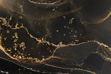 Renkli alkol mürekkebi siyah bir tuval üzerinde soyut desenler oluşturur, canlı pigmentler ve metalik elementler harmanlanır..