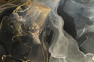 Alkol mürekkebinin canlı renkleri pürüzsüz bir zemin üzerinde karmaşık desenler oluşturarak kusursuz bir şekilde harmanlanır. Altının gölgeleri, siyah ve gri birlikte büyüleyici bir görsel deneyim yaratmak için akar..