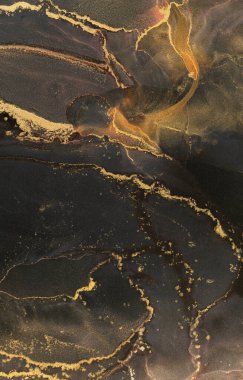 Karmaşık tasarımlar, siyah ve altın aksanların harmonik bir karışımını gösteren, koyu bir arka planda dönen alkol mürekkebinden ortaya çıkar. Bu sanat eseri mürekkep hareketinin akışını yakalar..