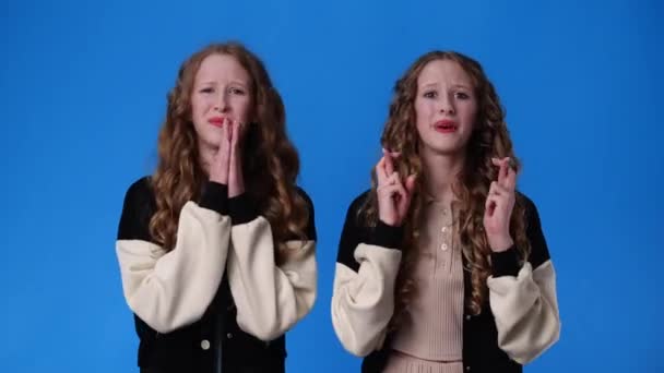 무엇인가를 구걸하는 쌍둥이 비디오 감정의 — 비디오