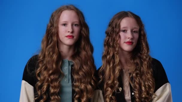 Video Two Twin Girls Smiling Looking Camera Concept Emotions — Stockvideo