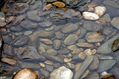 Nehir kıyısındaki sığ suyun içindeki çakıl taşlarını kapatın. Zen ve rahatlatıcı arkaplan resmi