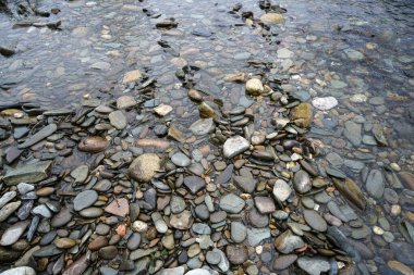 Nehir kıyısındaki çakıl taşlarını sığ sularda kapatın. Zen ve rahatlatıcı arkaplan resmi