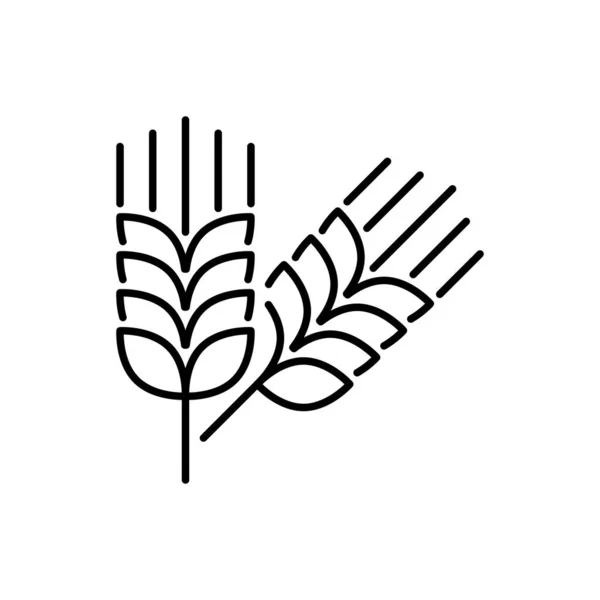 Farm Wheat Ears Line Icon Editable Stroke Illustrazioni Stock Royalty Free