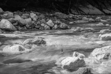 Watercourse in the german alps