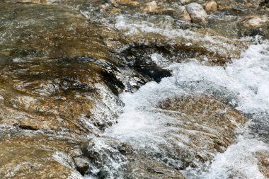 Watercourse in the german alps