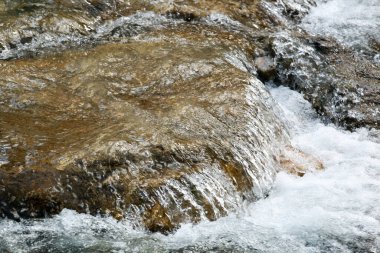 Watercourse in the german alps