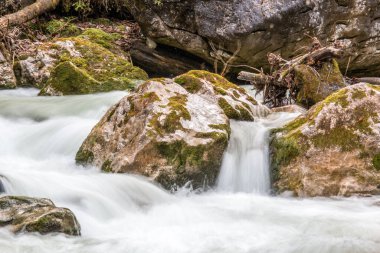 Watercourse in the german alps