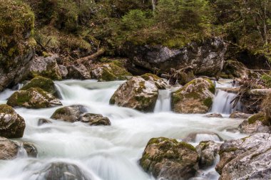 Watercourse in the german alps