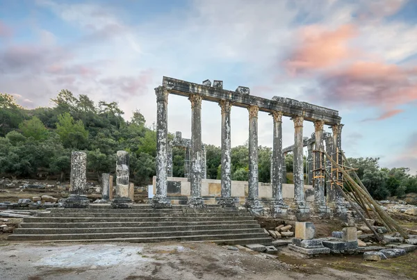 Templo Zeus Lepsinos Euromos Ruínas Milas Mugla Turquia — Fotografia de Stock