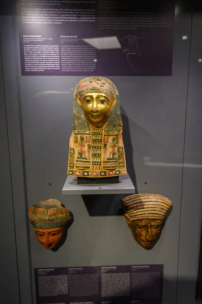 Budapeşte Macaristan Güzel Sanatlar Müzesi Nin Içinde Antik Mısır Kültür — Stok fotoğraf